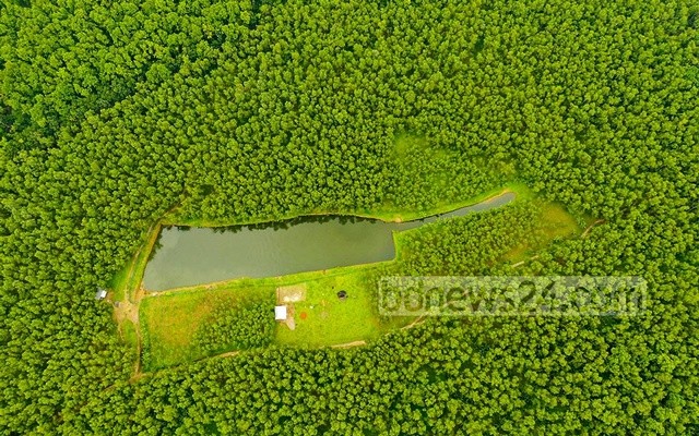 ‘ফিরে আসা’ প্রকৃতিকে ধরে রাখার লক্ষ্য