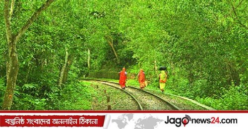 লাউয়াছড়াসহ সব উদ্যান অক্টোবর পর্যন্ত বন্ধ রাখার সুপারিশ