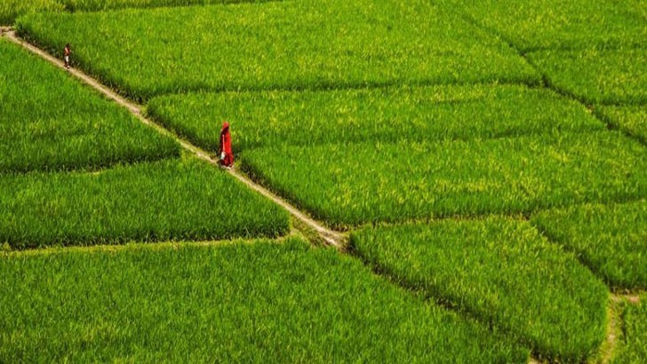 বিলটি সংসদে পাশ হোক