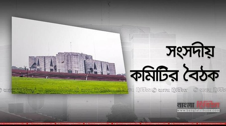 ট্যানারি বন্ধের ব্যবস্থা নিতে বিব্রত মন্ত্রণালয়