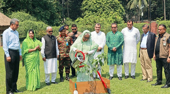 গণভবনে গাছ লাগালেন প্রধানমন্ত্রী